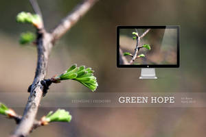 HD Wallpapers Green Hope