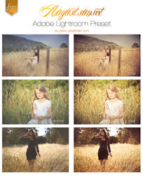 August Sunset Lightroom Preset