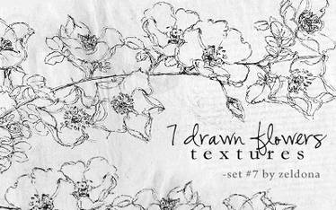 7 drawn flower textures