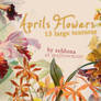 April's Flowers