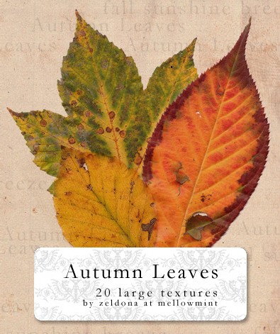 Autumn Leaves