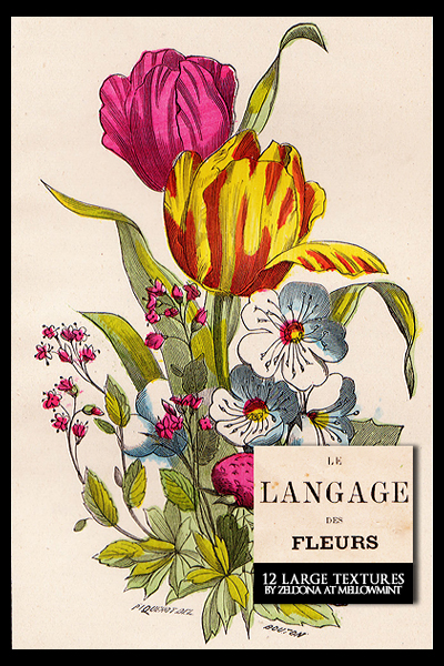 Le langage des fleurs