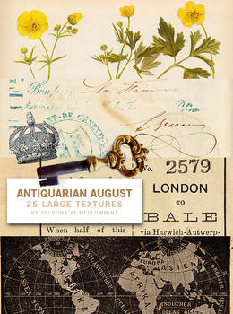 Antiquarian August