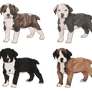 comm. bandog pups