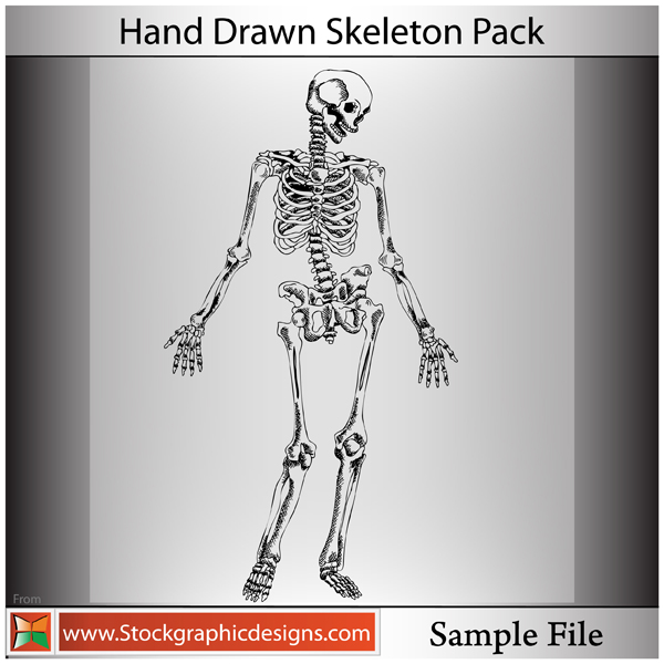 Hand Drawn Skeleton-Brush