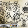 Hand Flowers Free Vector Pack