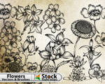 Hand Flowers Free Brushes Pack by Stockgraphicdesigns on DeviantArt