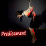 Predicament bondage (Reya)