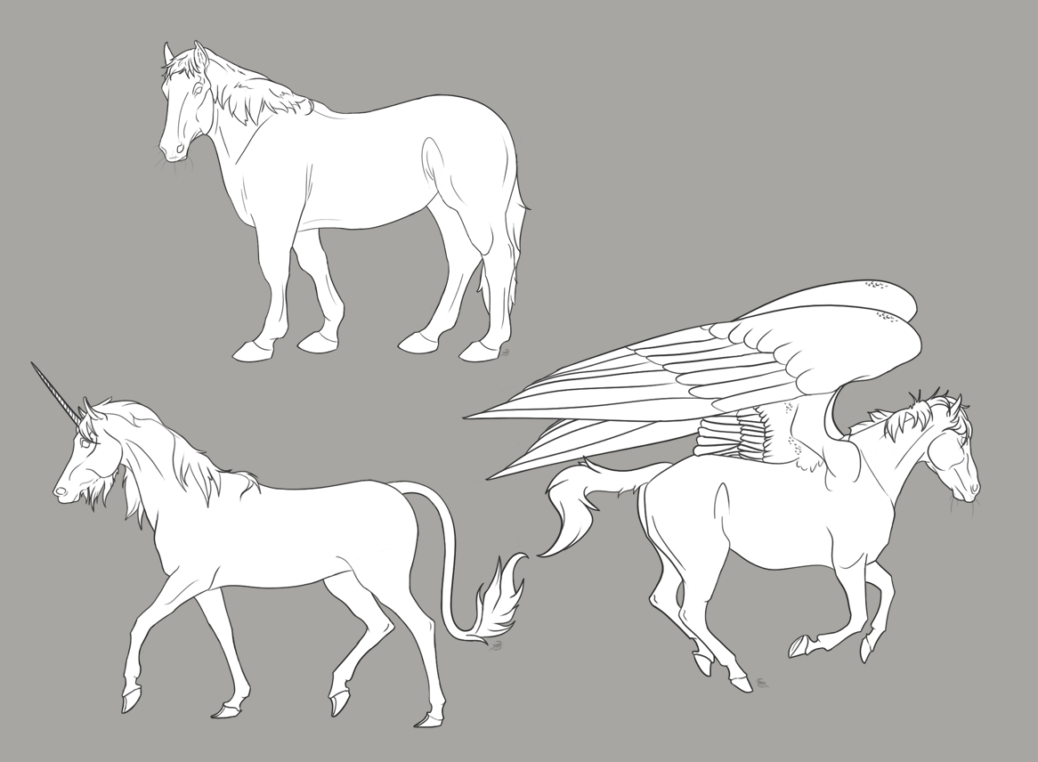 Horse Species Colorable - Free