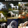 White Unicorn Picture Pack