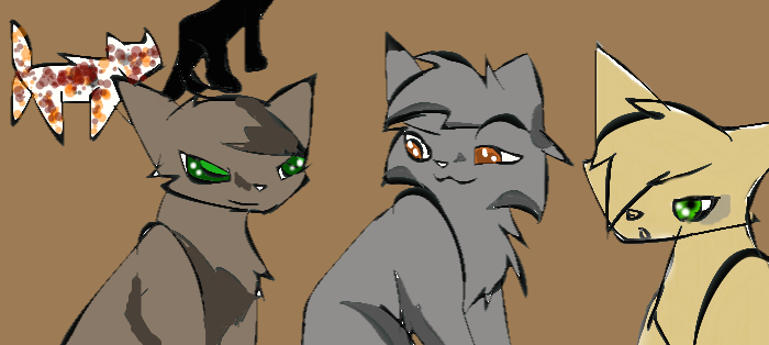 Warrior Cats Midnight Redo by BLlNK on DeviantArt