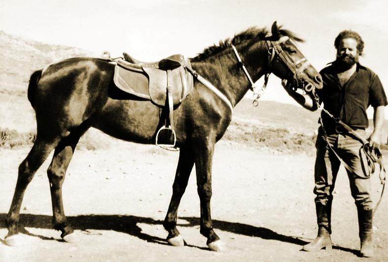 Beyond Hippios Exploring The Many Greek Words For Horse - bzszif7