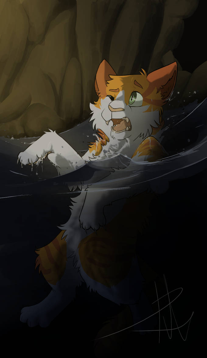 dead warrior cat drawing