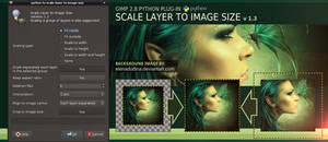 Scale Layer to Image Size