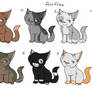 Free Adopts :CLOSED: