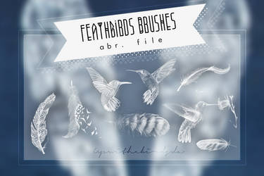 +Feathbirds Brushes.