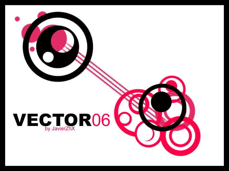 Vector 06