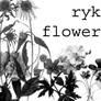ryk_flowers brushes