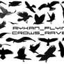 Ryk_Flying_Crows_Ravens brushs