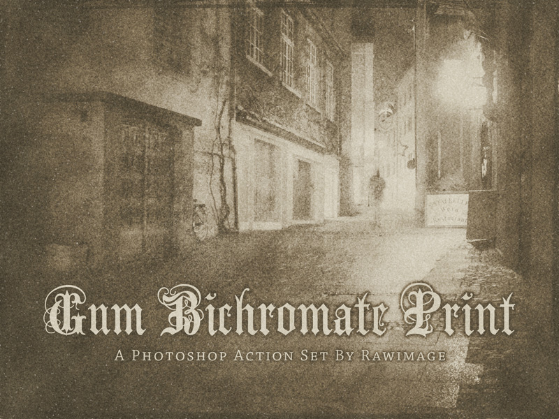 Gum Bichromate Print