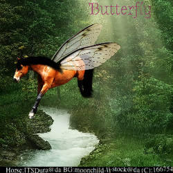 Butterfly Avatar