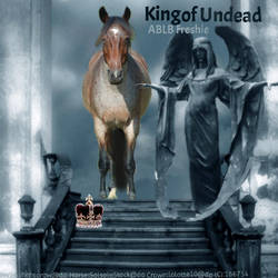 King of Undead Avatar