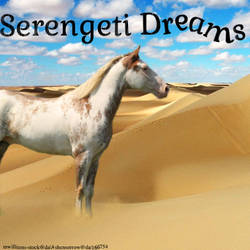 Serengeti Dreams
