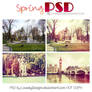 Spring PSD