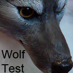 Wolf Test Animation