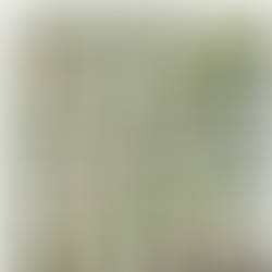Prehistoric Jungle 500x500 - Members