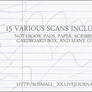 15 Large Scans