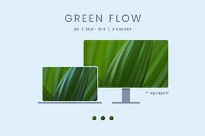 Green Flow - 5K Wallpaper Pack