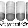 Fingernail Brushes