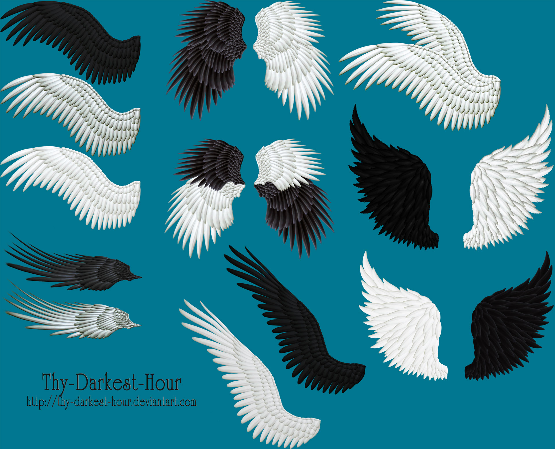 Pack 02 - 16 PNG Feathered Wings by Thy-Darkest-Hour on DeviantArt