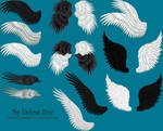 Pack 02 - 16 PNG Feathered Wings