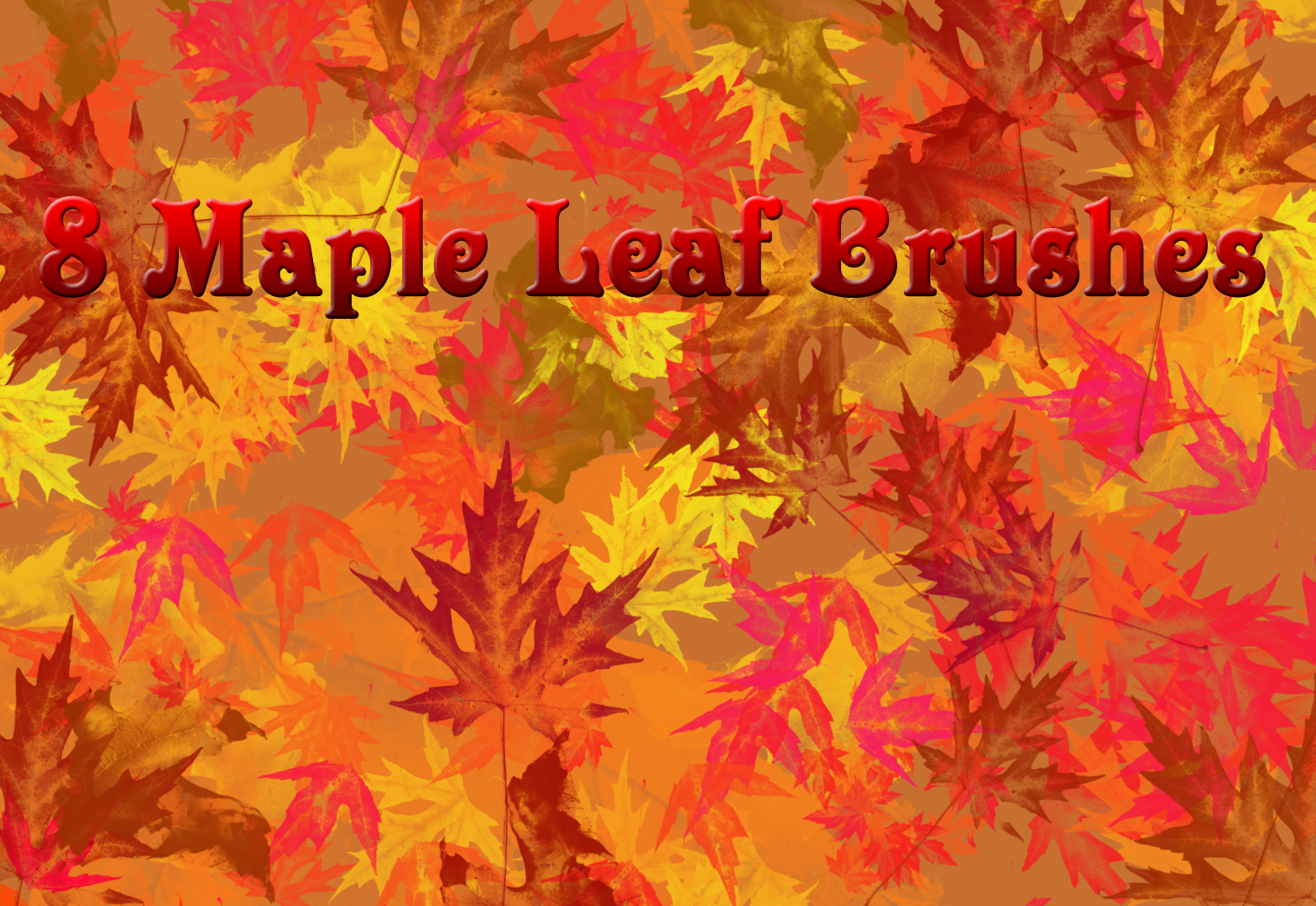 8 Large Maple Leaf Brushes