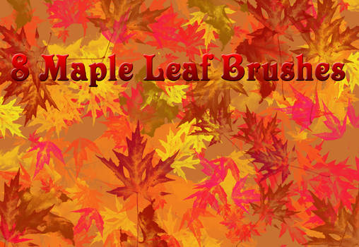 8 Large Maple Leaf Brushes