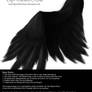 Soft Folded Angel Wing - Black PSD