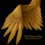 Soft Folded Angel Wing - Golden PSD