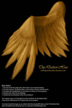 Soft Folded Angel Wing - Golden PSD