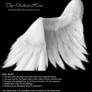 Soft Folded Angel Wing - White PSD