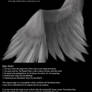 Soft Folded Angel Wing - Silver PSD