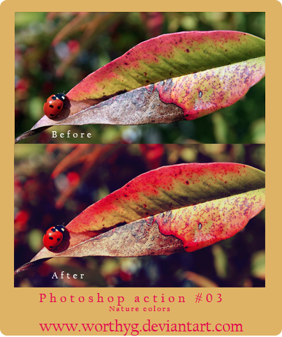 Photoshop Action-Nature Colors