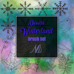 Winterland brushes set