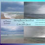 Stormy Beach Pack by CelticStrm-Stock