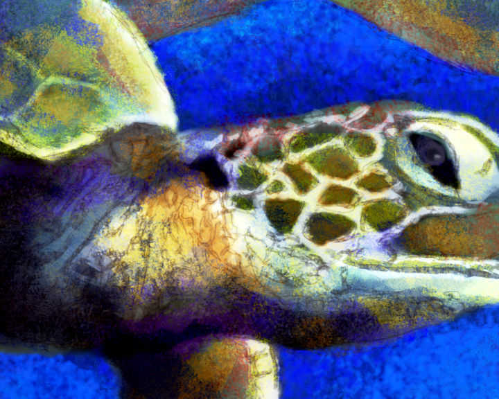 Sea Turtle by imdeibert on DeviantArt