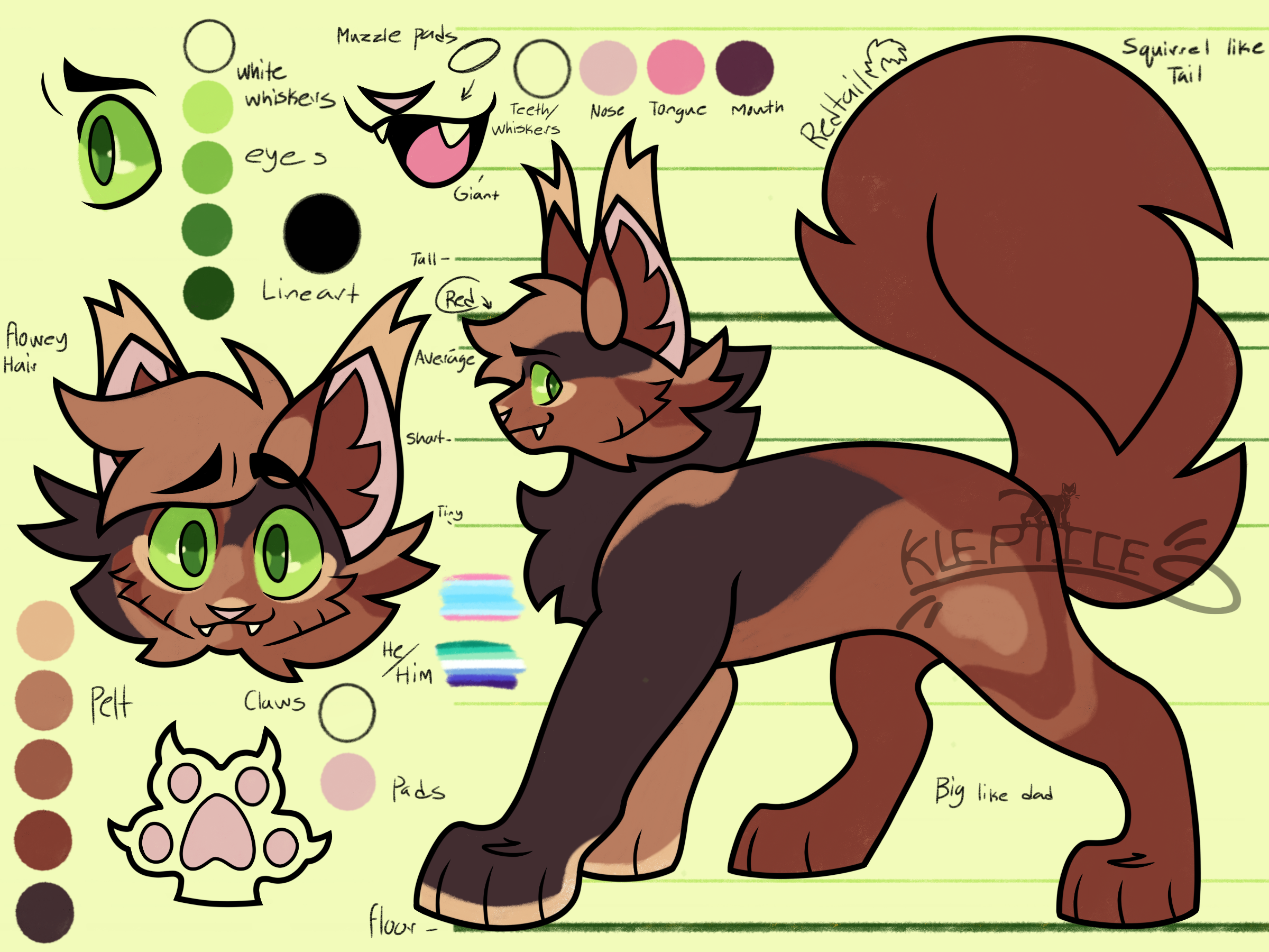 OLD ! Redtail Reference by Kleptice on DeviantArt