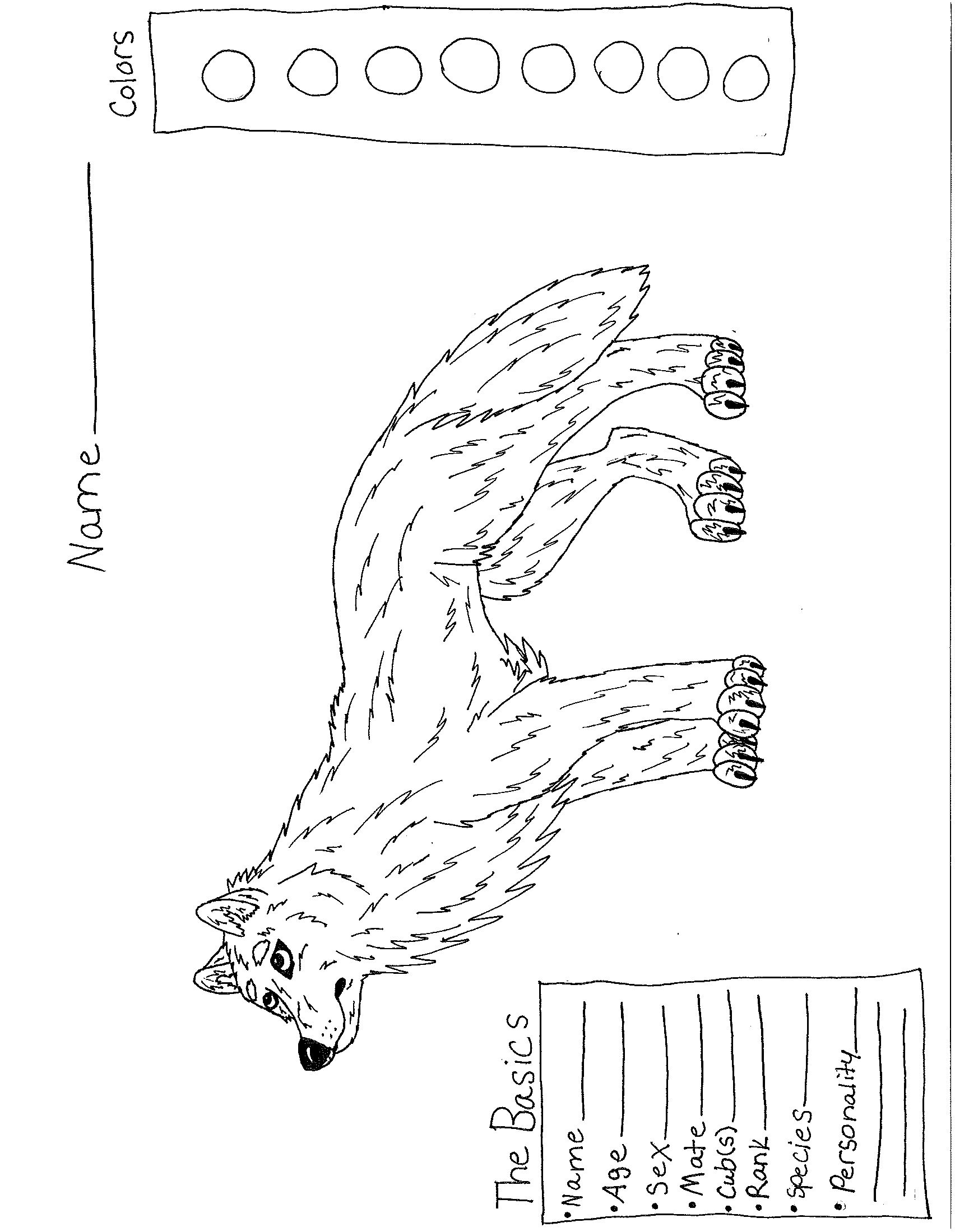 Wolf Reference Format Wolf Reference Sheet by Akruwolf280 on DeviantArt