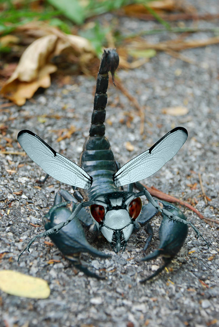 Insect of DOOM by S-T-G-O-D on DeviantArt