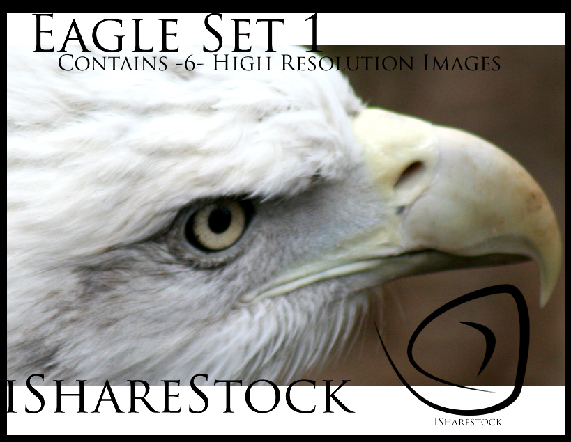 Stock Set 001: Eagle Set 1